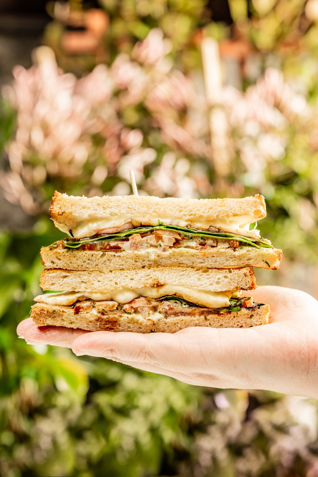 Vegetarian Caprese Sandwich