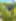 Post img