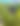blurred background image