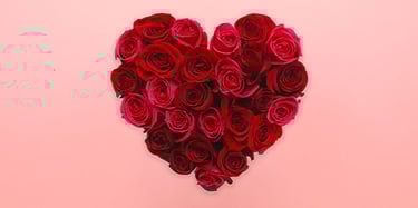 A Beautiful Night Doesn’t Require a Perfect Plan