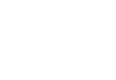 We'll Bring The Party