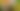 blurred background image