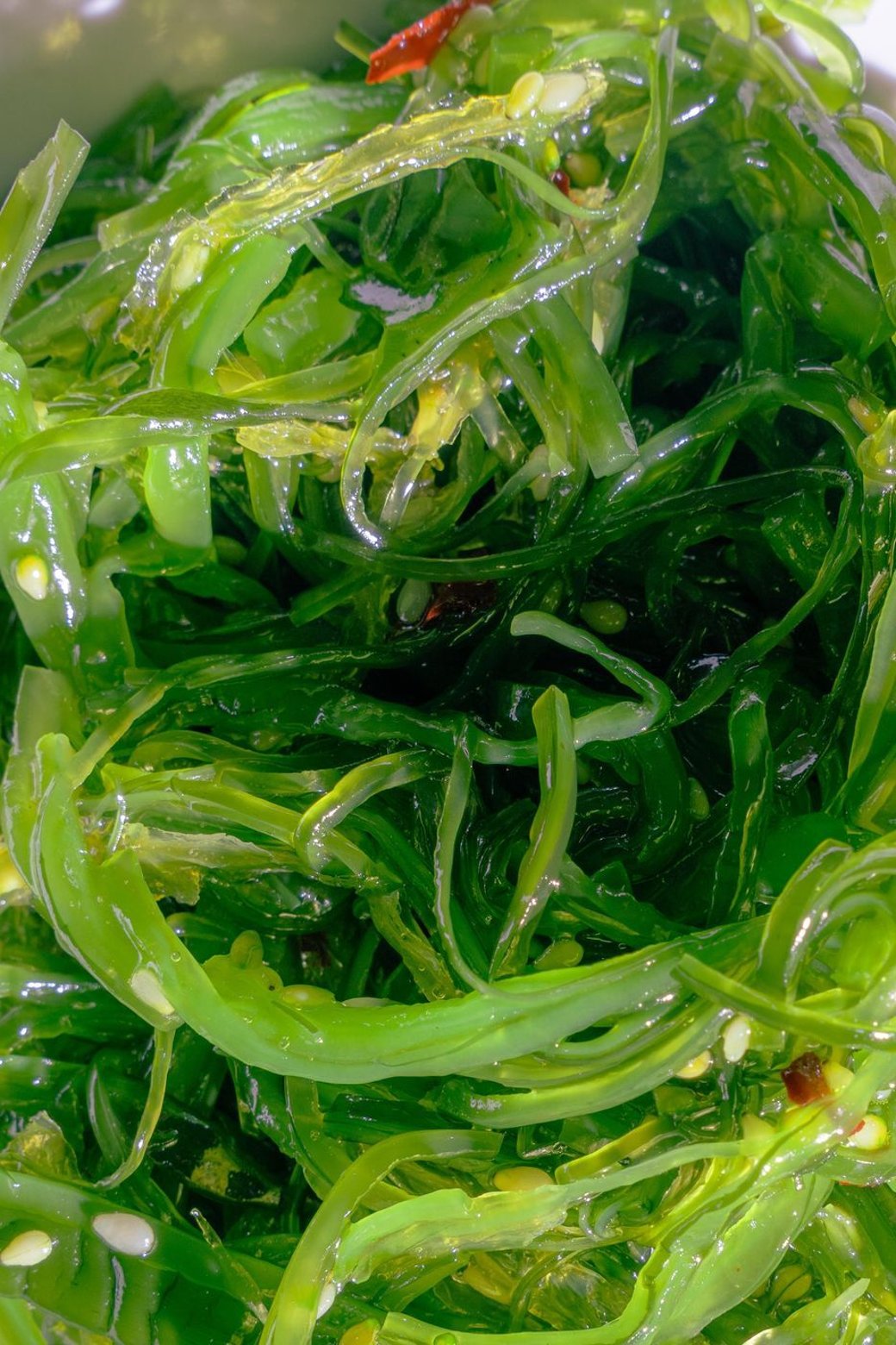 Fresh Seaweed Salad