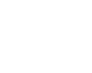 The Pilot