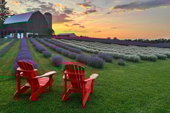 Growing travel trend of connecting agriculture and tourism is good for all