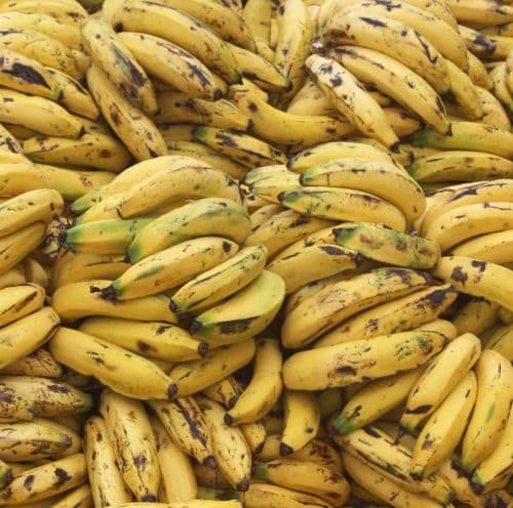 Bananas