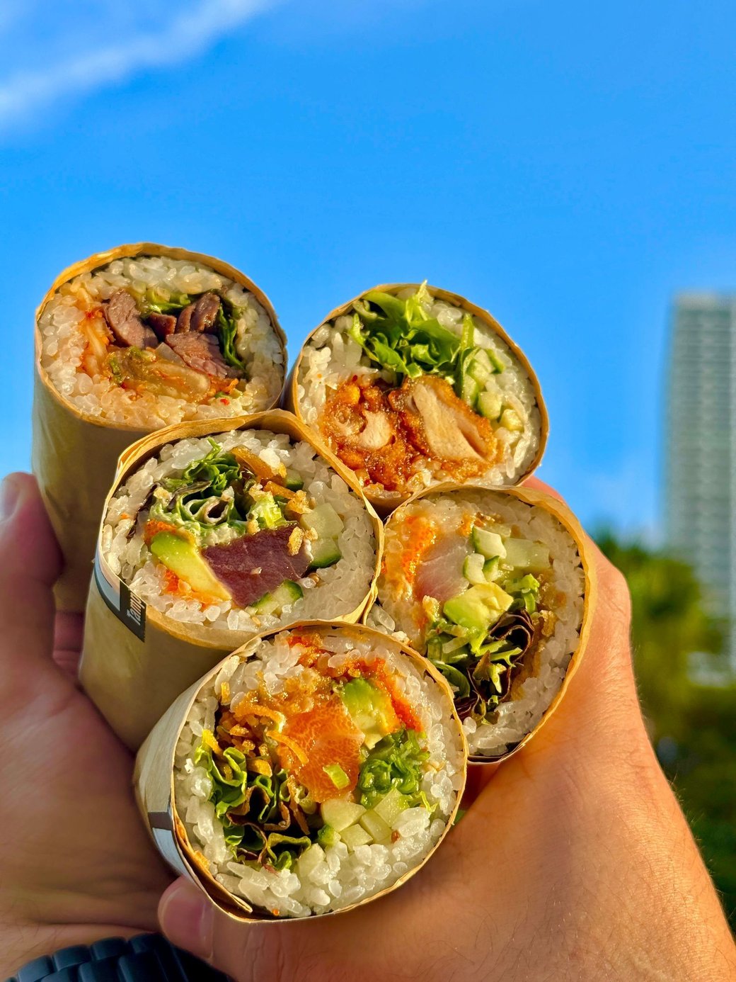 Garden Sushi Burrito + Chips