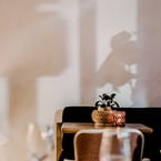 What are you most looking forward to when lockdown restrictions lift? 👇 For us, it's having you back! 🥰✨