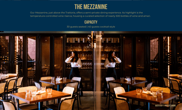 Website gallery image