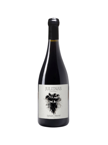 Sylvain Martel Julienas 