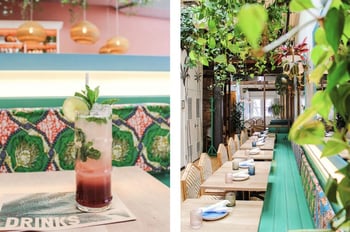5 tropical Toronto Hot Spots