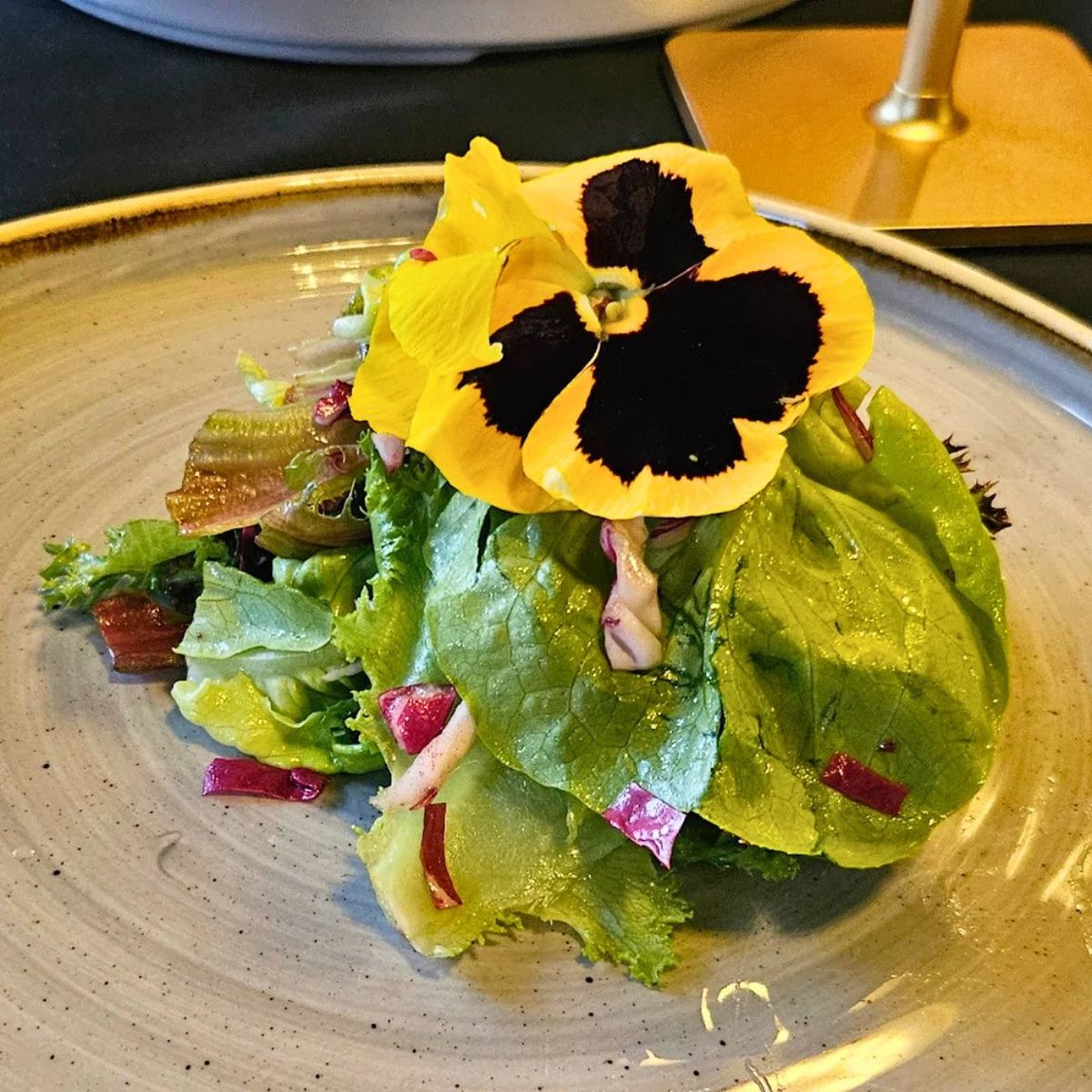 Something Different Dining