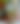 blurred background image