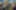 Decoration image without any essential information
