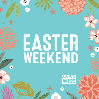 Easter Weekend ( Friday, March 29th to Monday, April 1st)