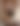 blurred background image