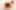 Decoration image without any essential information