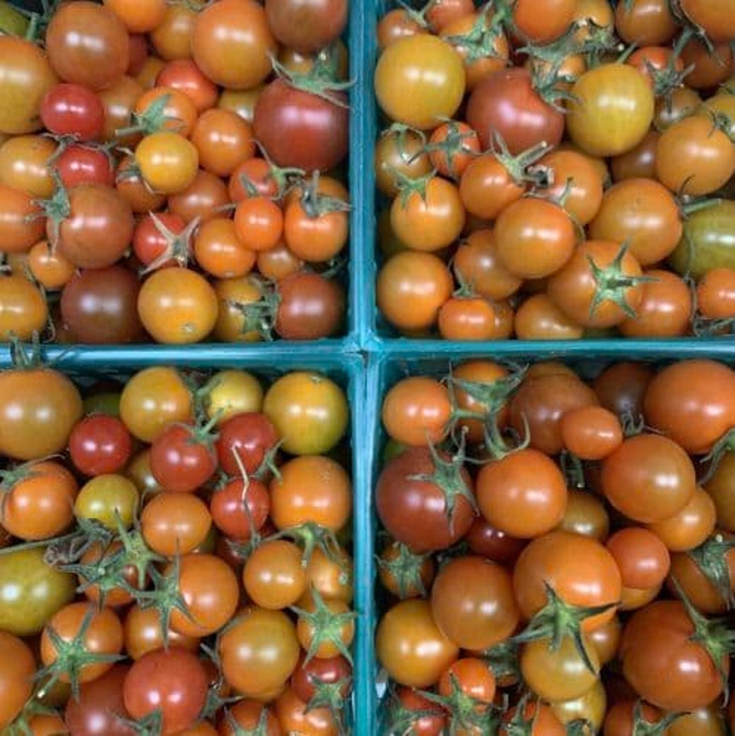 Heirloom Grape Tomatoes