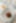 Decoration image without any essential information