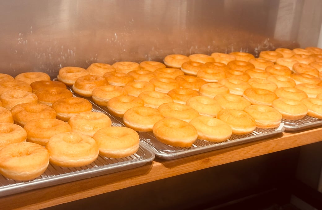 Plain Unglazed Yeast Ring Donut