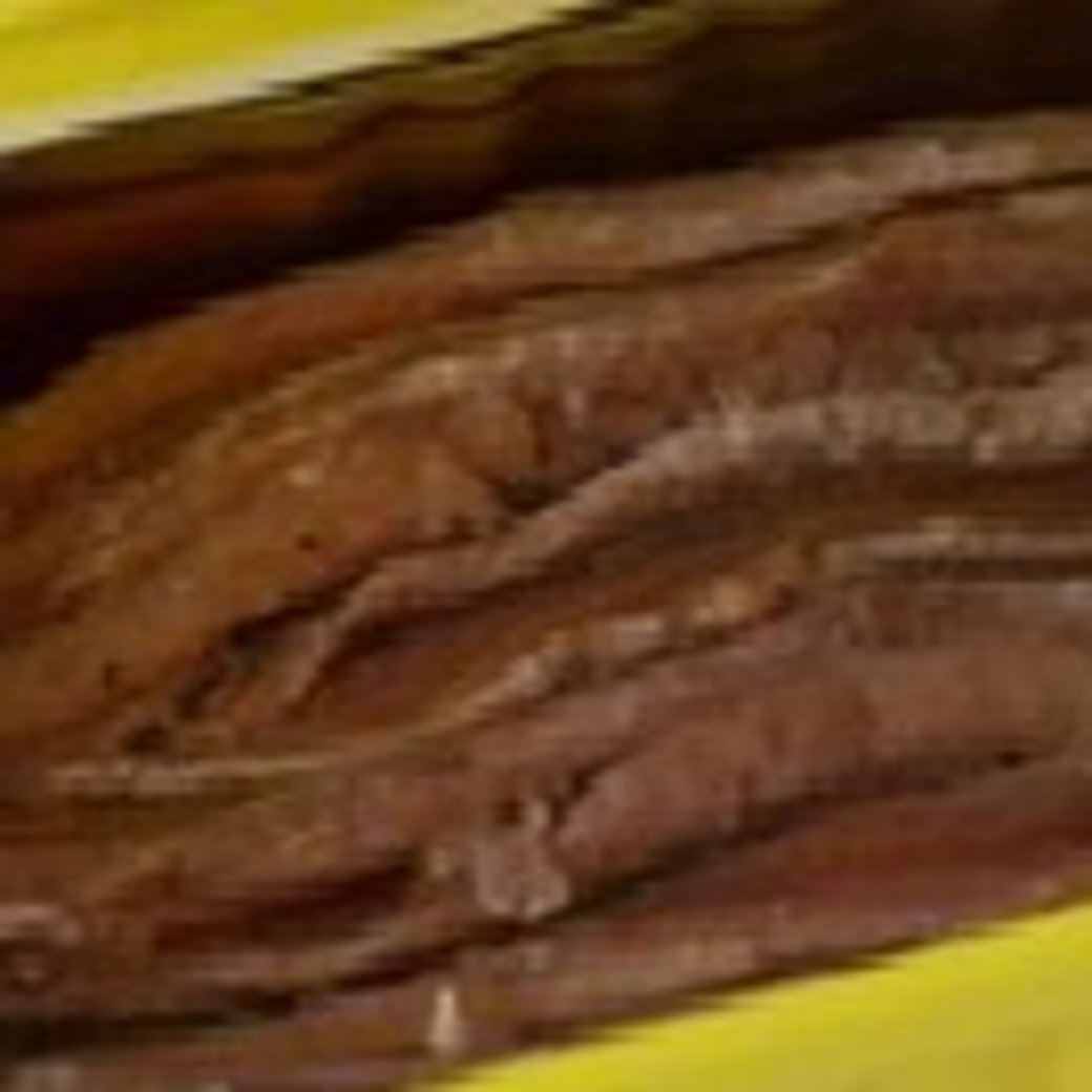 Side of Anchovy