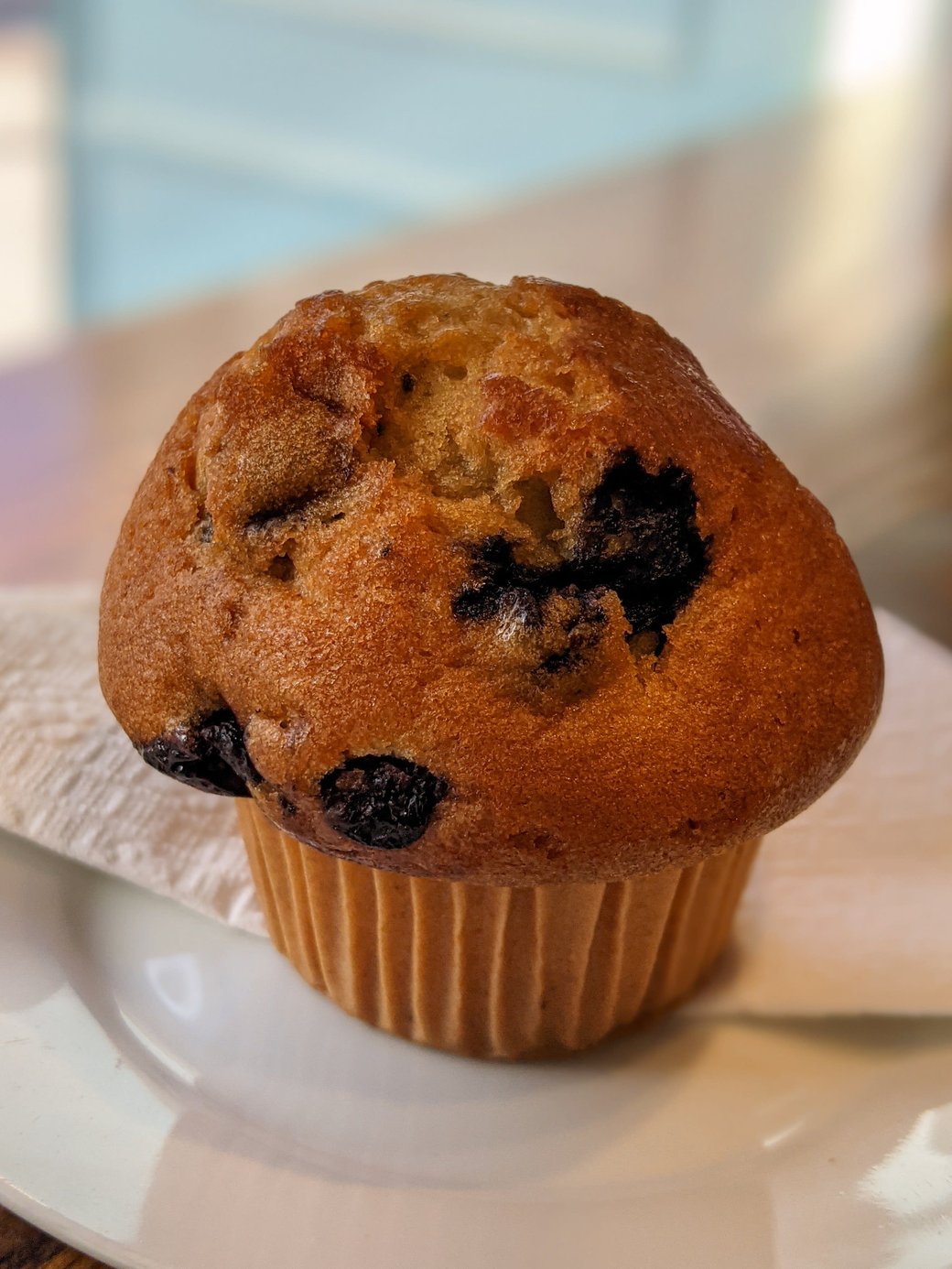 Blueberry Muffin