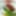 New York Striploin Steaks AAA Centre-Cut (12 x 8oz) , shop product