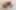 Decoration image without any essential information