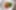 Decoration image without any essential information