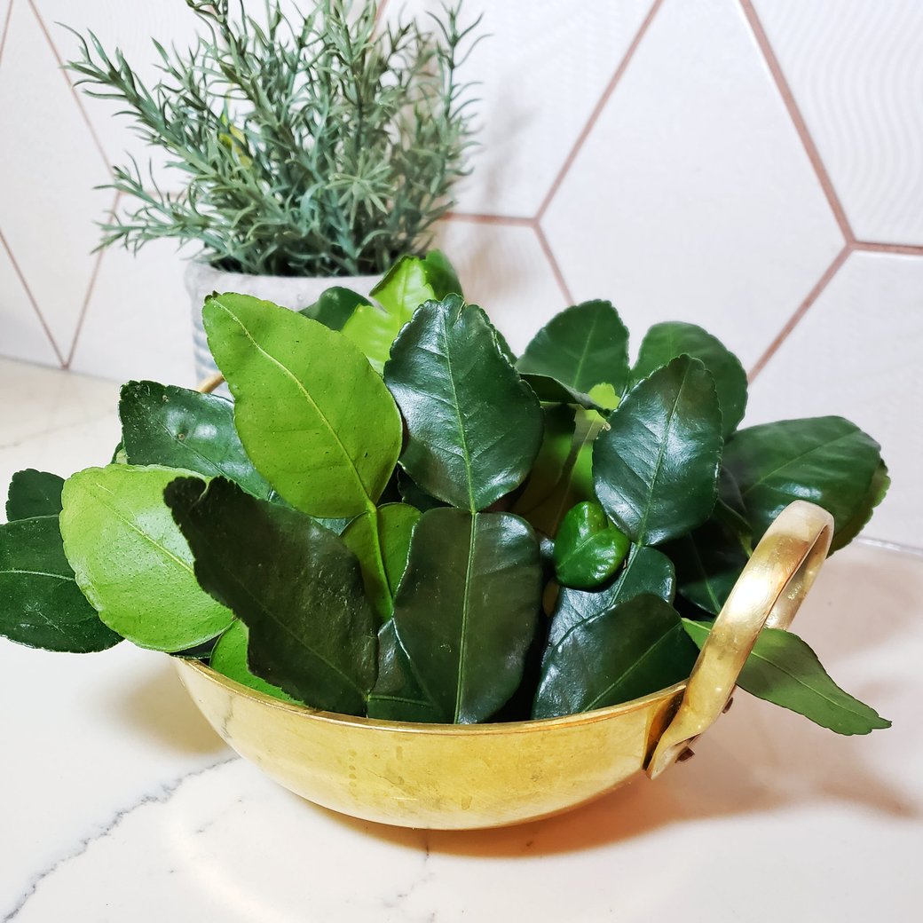 Makrut lime leaves (100 g)