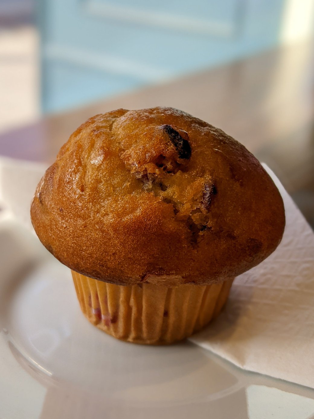 Lemon Cranberry Muffin