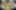 Decoration image without any essential information