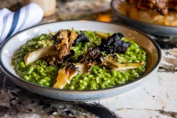 The top 10 new restaurant openings in Toronto for February