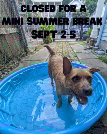 Summer Break Time!