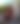 blurred background image