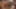 Decoration image without any essential information