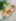 Decoration image without any essential information