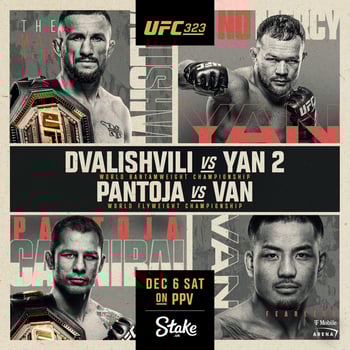 UFC 323 - Dvalishvili vs Yan