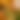blurred background image