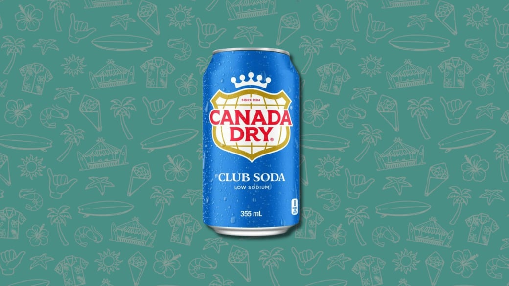 Canada dry Club Soda (canette / can)