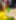 Post img