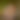 blurred background image