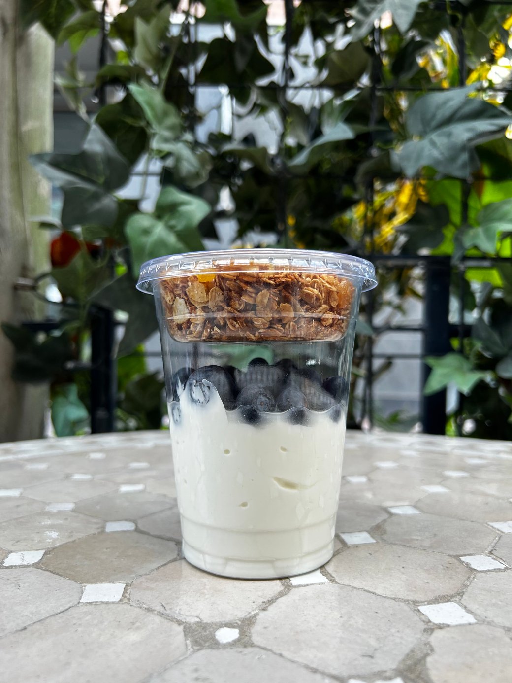 GREEK YOGURT & GRANOLA