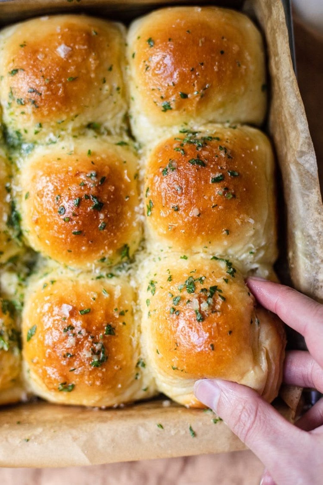 Garlic Parmesan Herb Rolls