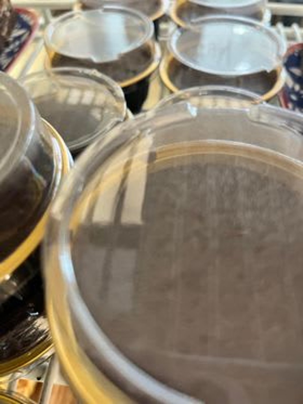 keto Chocolate Cream Brulée