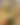 blurred background image