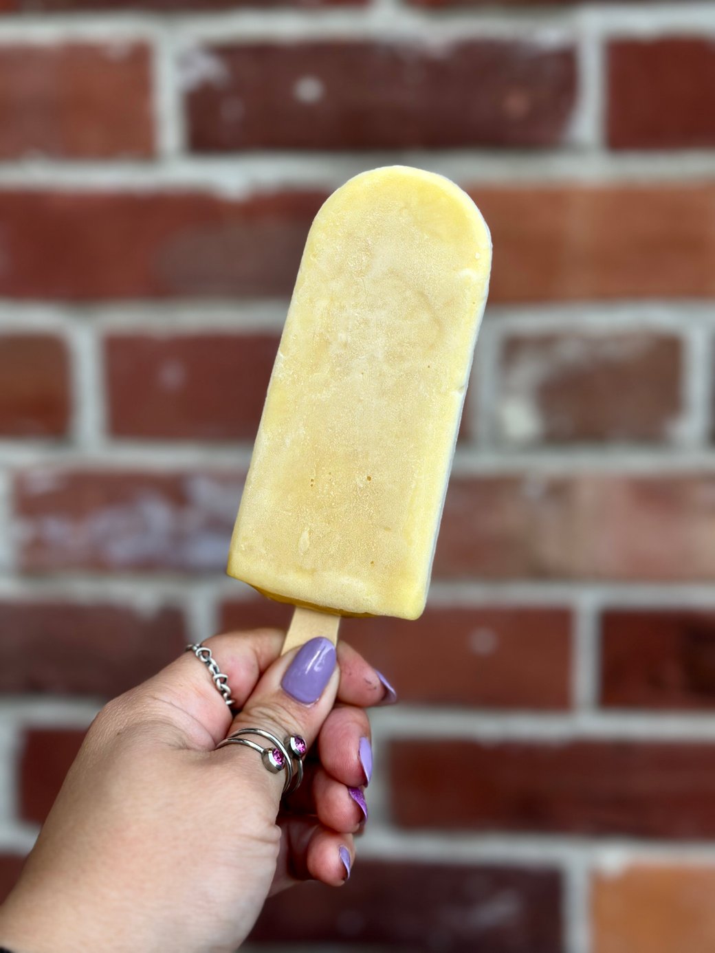 Mango Paleta