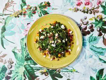 A city guide to Toronto