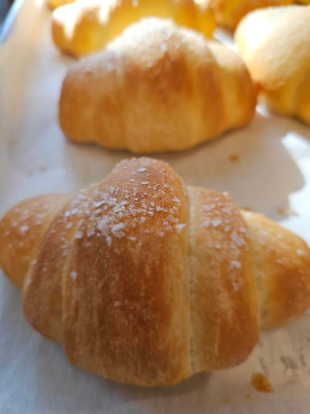 Butterflake Rolls 6 