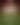 blurred background image